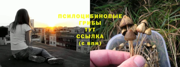 ГАЛЛЮЦИНОГЕННЫЕ ГРИБЫ Горно-Алтайск