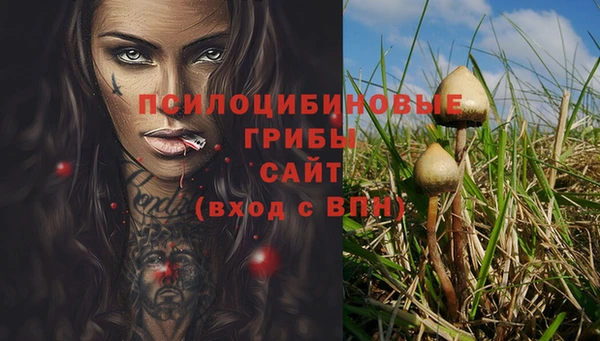 винт Горняк