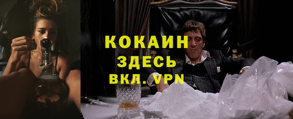 ГАЛЛЮЦИНОГЕННЫЕ ГРИБЫ Горно-Алтайск