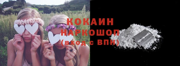ГАЛЛЮЦИНОГЕННЫЕ ГРИБЫ Горно-Алтайск
