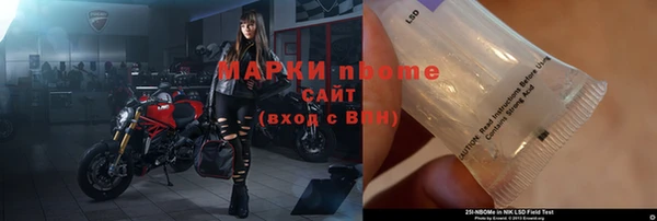 ГАЛЛЮЦИНОГЕННЫЕ ГРИБЫ Горно-Алтайск