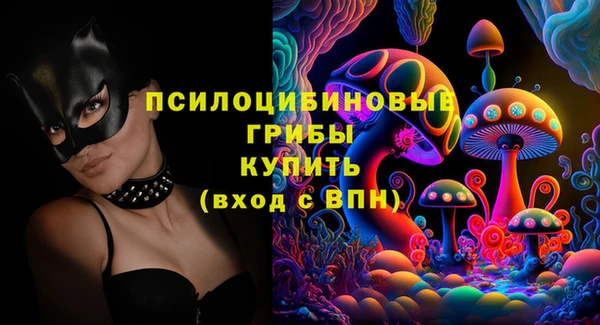 ГАЛЛЮЦИНОГЕННЫЕ ГРИБЫ Горно-Алтайск