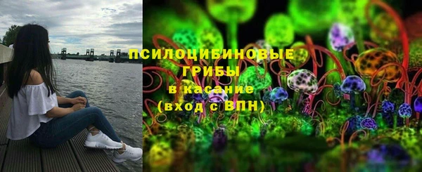 винт Горняк