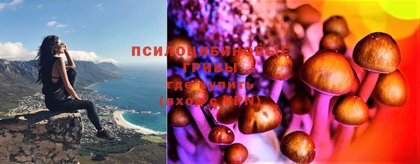 винт Горняк