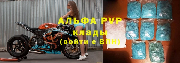 ГАЛЛЮЦИНОГЕННЫЕ ГРИБЫ Горно-Алтайск