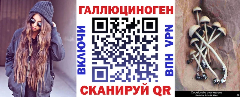 Купить  Калач  Псилоцибиновые грибы мицелий 