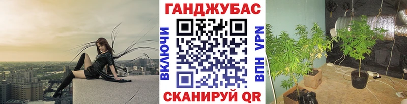 Бошки марихуана марихуана  Купить закладки  Калач 
